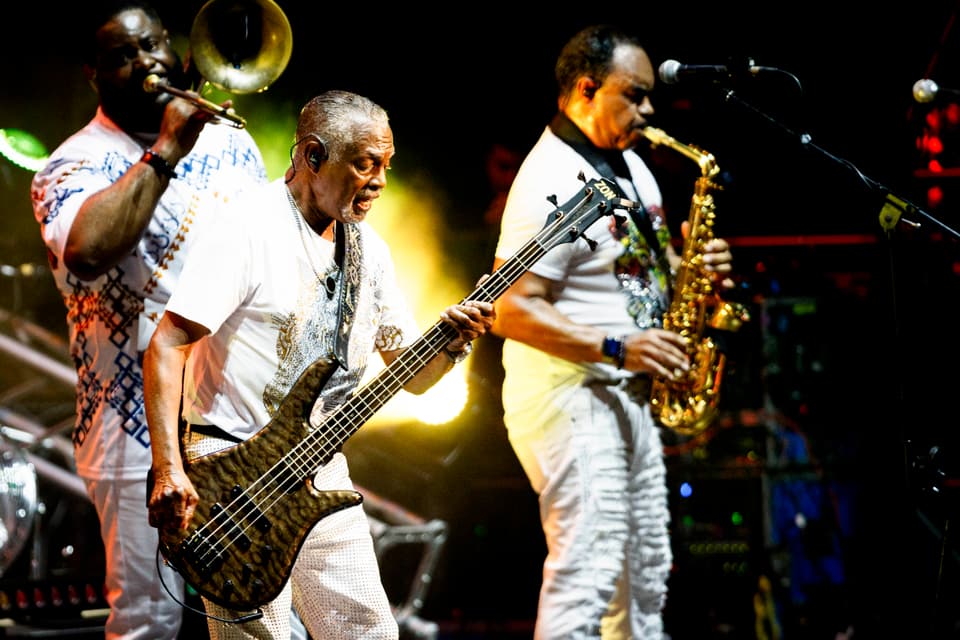 The horn and brass section performing live on stage.